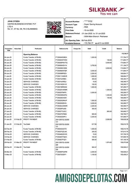 Extrato de conta em branco do Paquistão Silkbank modelo Word e PDF
